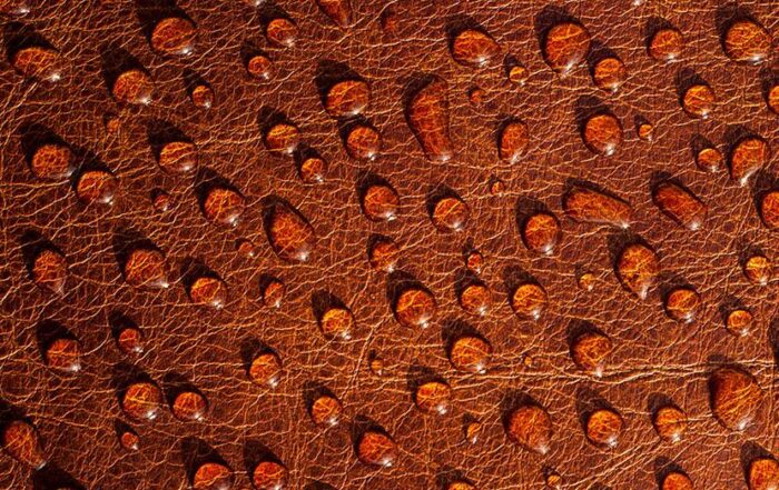 water oil repellent agent